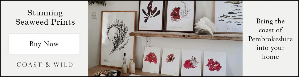 Seaweed art by Coast & Wild