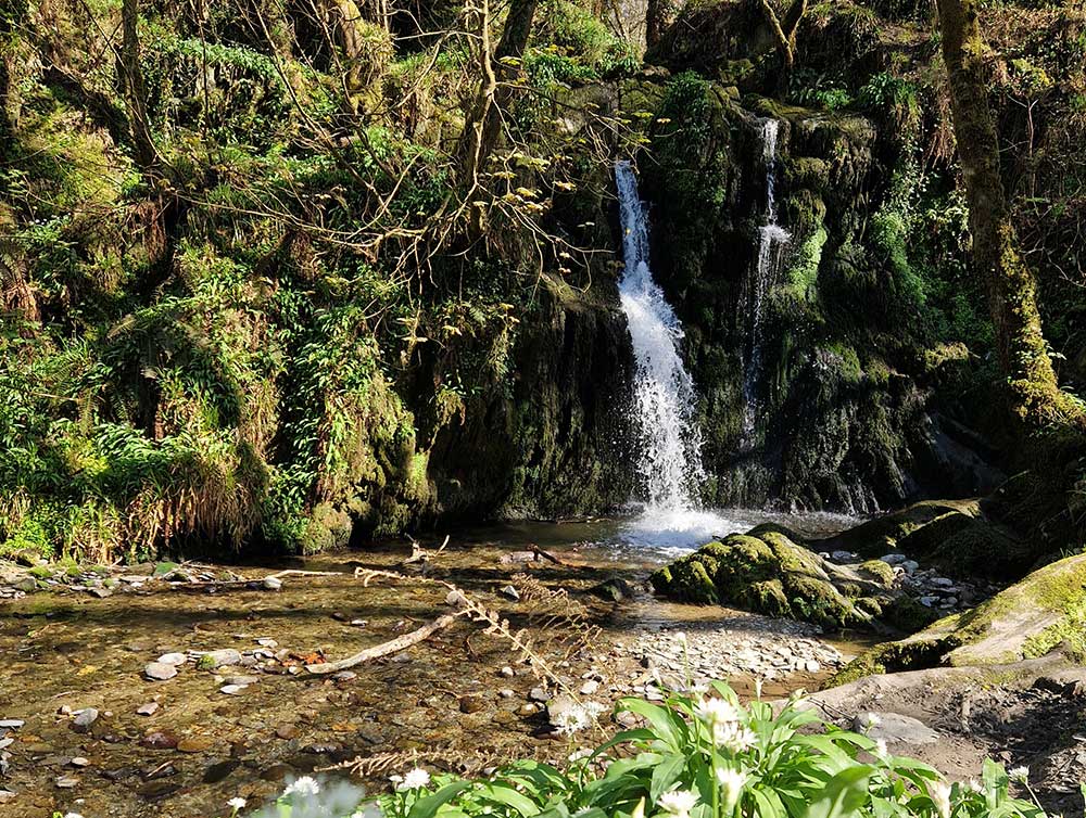 Aber Forrest waterfall Aber Forrest waterfall