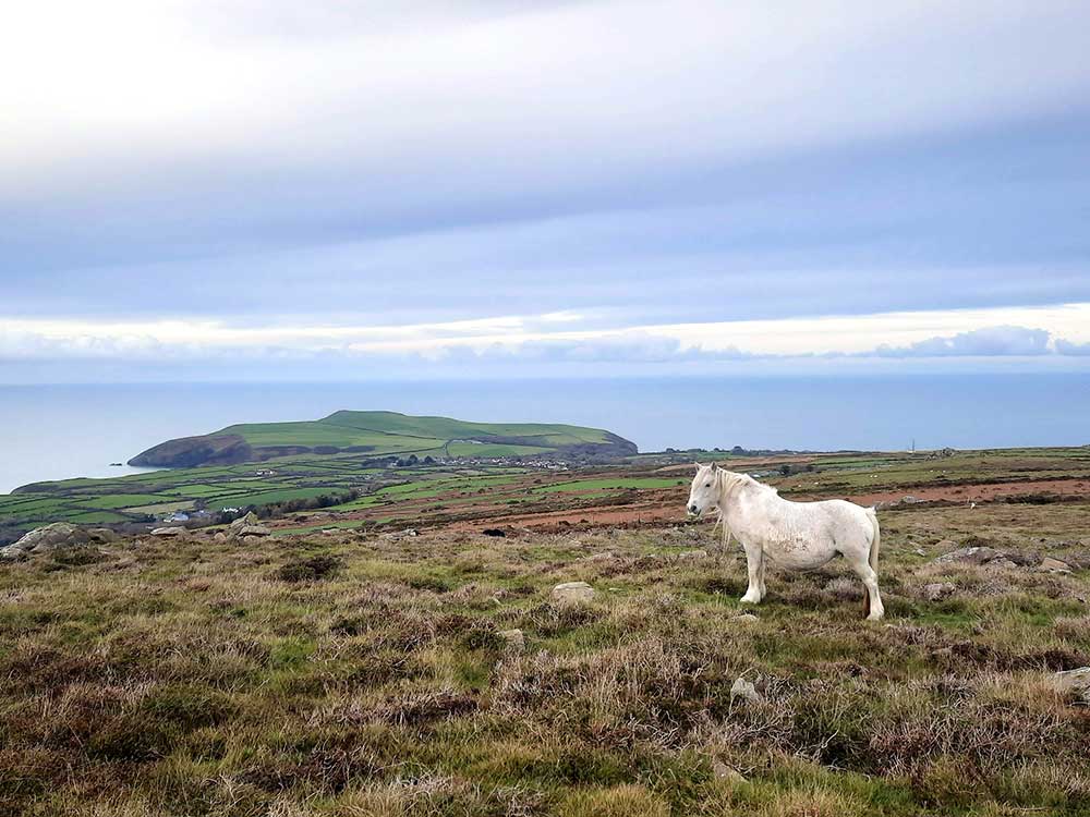 The view of Dinas Island from Dinas Mountain. The view of Dinas Island from Dinas Mountain