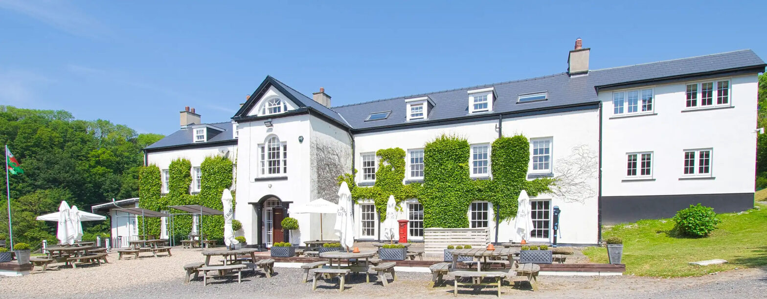 Llwyngwair Manor beer garden