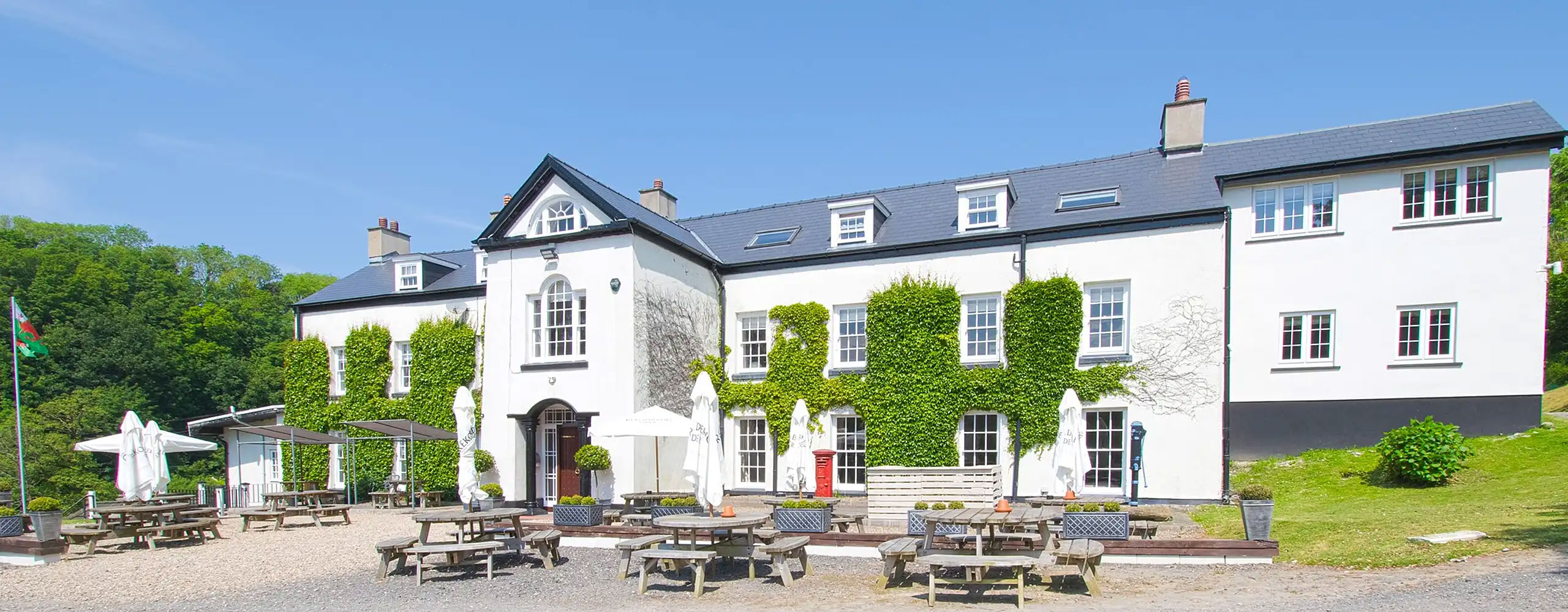 Pubs of Newport Pembrokeshire photo