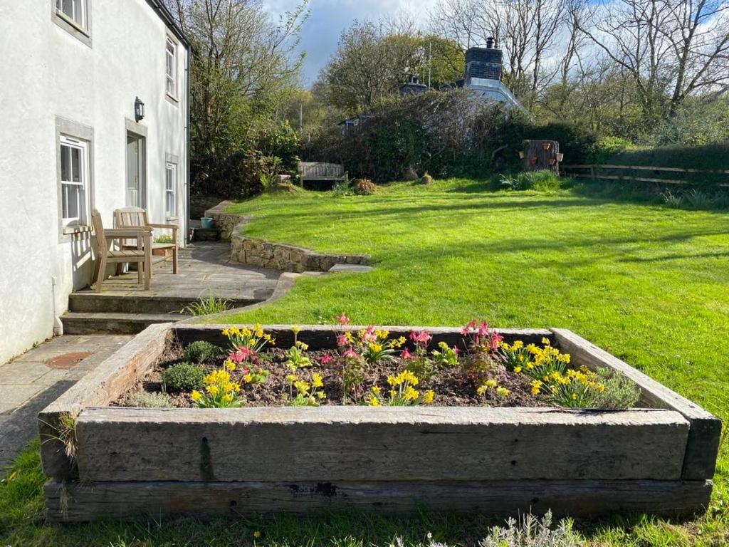 Sun lit garden area