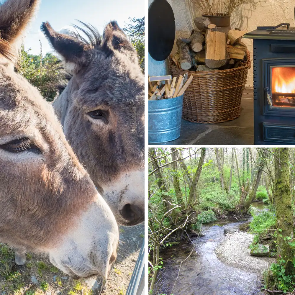 Donkeys, a wood burner and the woodland stream